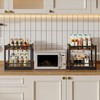 HOOBRO Kitchen Countertop Organizer, Corner Shelf Organizer, 2-Tier Spice Rack