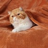 Bedsure Fleece Throw Blanket for Sofa - Soft Cosy Fluffy
