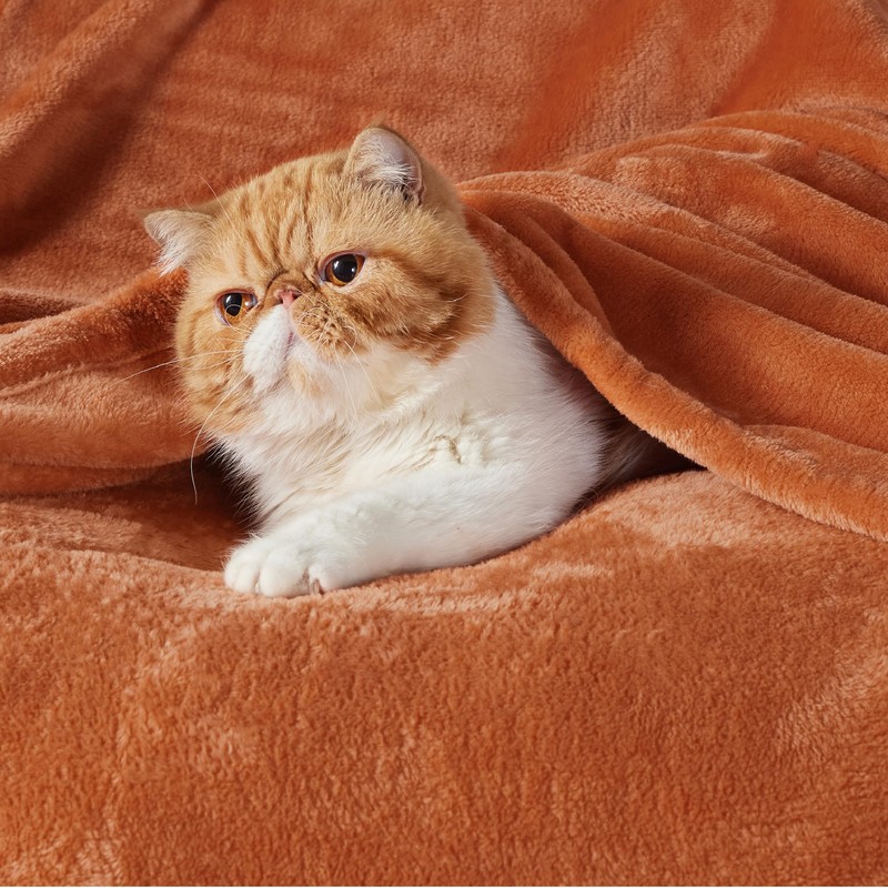 Bedsure Fleece Throw Blanket for Sofa - Soft Cosy Fluffy