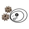 GPI Overhaul Kit for EZ-8 Fuel Transfer Pump Manufactured on