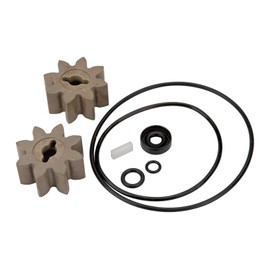 GPI Overhaul Kit for EZ-8 Fuel Transfer Pump Manufactured on or Before Jan. 8, 2016, Motor Shaft Key, Two Gears, and Replacement Seals (13750005)