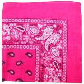 Kaiser Novelty Bandanas Paisley Cotton Bandanas (Hot Pink 22 X 22 in)