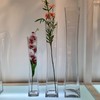 WGV Tall Masterpiece Glass Vase, 4.5" W x 25.6" H,