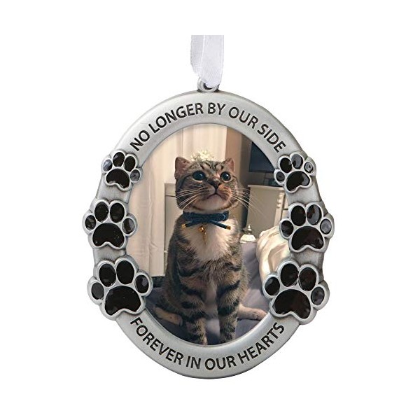 FASHIONCRAFT Pet Memorial Ornament Departed Paw Prints No Longer by