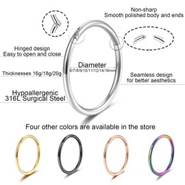 Lantine Hinge 20g 18g 16g Nose Piercing Ring Hoop Earrings 6 mm 8 mm 10 mm 12 mm 14 mm 16 mm Septum Ring Clicker Cartilage Nostril Helix Piercings Hoop Earrings Set, Metal, No gemstone