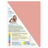 Crossbow Education Page Overlay - Pink (Pack of 5), OVP49