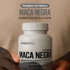 Restart Maca Negra Orgánica Peruana Citrulina Black 1000mg Por Porción