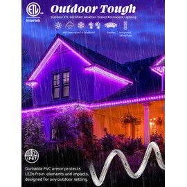 WYZworks 3312LEDs, 300ft LED Outside Rope Lights, Outdoor ETL Certified Waterproof Permanent 360 Degree Light Emitting, Flexible Tube, Connectable, Christmas Palm Tree Exterior Landscape, Purple