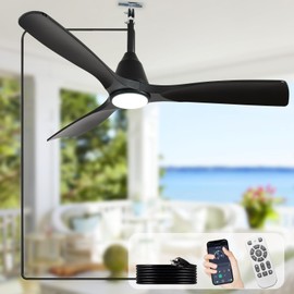 Depuley 52-Inch Outdoor Ceiling Fans: Black Plug in Hanging Ceiling Fans with Remote APP Control - Hook Type Outdoor Fans with Light for Gazebo Pergola Porch Patio 3 CCT DC Motor Reversible