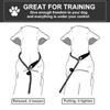 Dog Slip Leads Leash, 4.5FT Durable Puppy Rope Leashes Collar