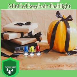 Mini Flashlight Pocket Emegency Light Portable Torch Small Keychain Flashlight Keychain Lights for Camping Hiking
