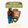 Only You Can Prevent Forest Fires! Sticker Bumper Sticker Vinyl