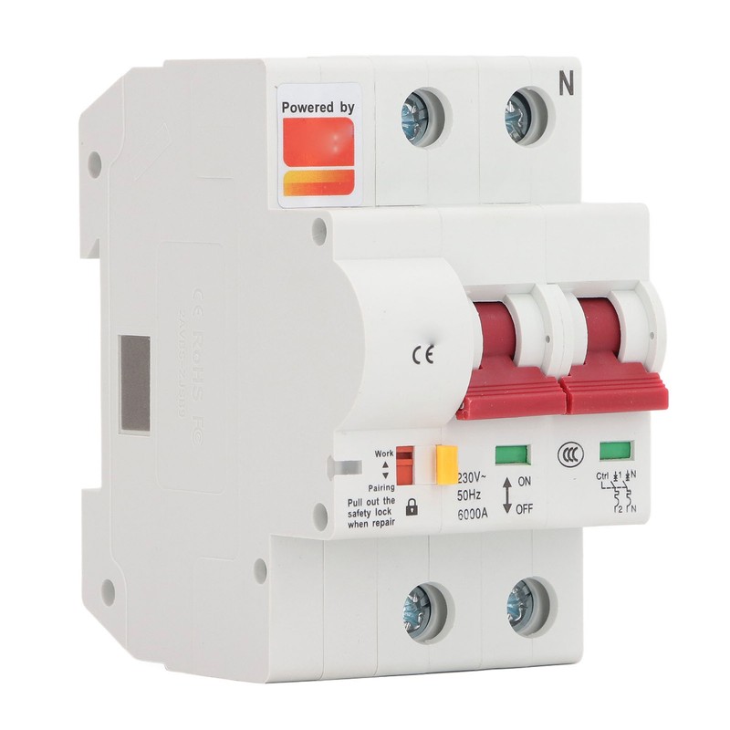 WiFi Smart Circuit Breaker AC 2 Poles Switch Automatic Reclosing