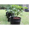 GroBucket Garden Kit (3PK) self-watering sub-irrigated Planter Insert. Turn Any