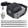 AUTOKAY 4229 400 1300 Ignition Coil with Spark Plug Kit