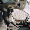ROSON 2 Pack Sunglass Holder for Car Sun Visor, Glasses