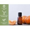 OLEUM VITAE Aceite Esencial de Mandarina. Citrus Reticulata. 100% Puro