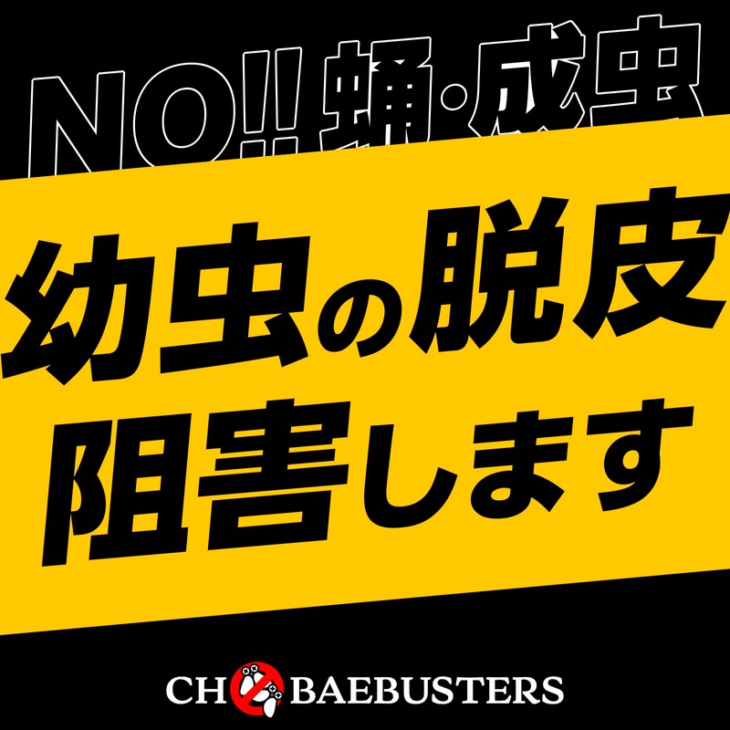 Kobayaga Hoi Hoi Earth Chobae Extermination Granules Fruit Fly Catcher
