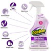 OdoBan OdoBan Ready-to-Use Disinfectant and Odor Eliminator, Set of 2