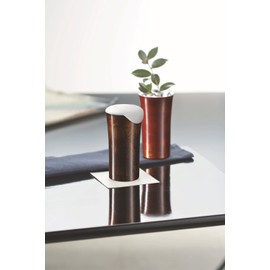 Asahi SCS-S501 Single Cup Small Black Lacquer