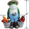 THE ENCHANTED GARDEN Farming Frog Ornament Outdoor Resin Fun Animal