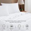 AIREOLUX 100% Cotton Light Gray Bed Sheet Set Full Size,