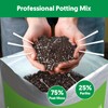 Succulent Cactus Potting Soil Mix (2 qt), All-Purpose Garden Potting