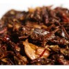 100 G Chapulines Ajo Y Chile Oaxaqueños Grandes Al Vacio