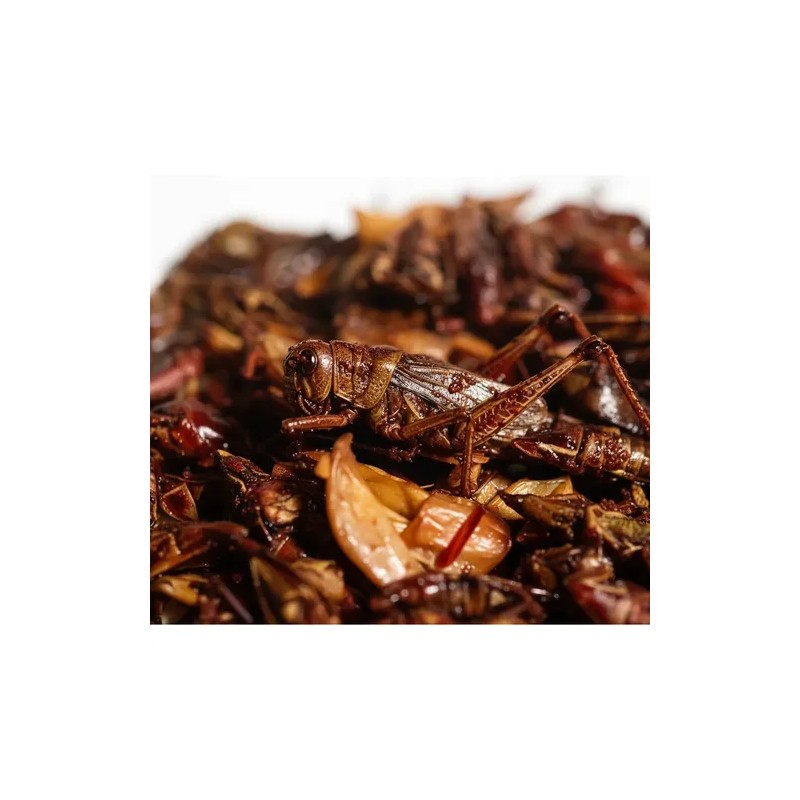 100 G Chapulines Ajo Y Chile Oaxaqueños Grandes Al Vacio