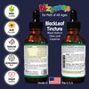 BlackLeaf Tincture for Pets