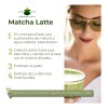 Té Verde 100% Matcha Zen Tea Orgánico 200 Grs *sin