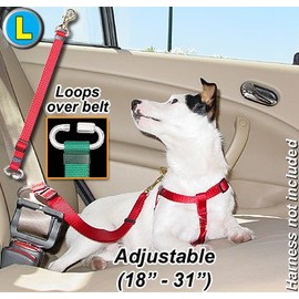 Seat Belt Tethers - Large - Step 1 Blue - Dog/pet Tether