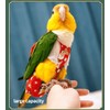 Bird Flight Suits Diapers, Parrot Flight Suits Diapers for Monk