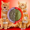 Fiend Three (3 Count) Catnip Safety-Cut 100% Pure Potent Fine