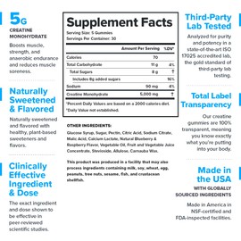 LEGION Creatine Monohydrate Gummies – Clean Chewable Creatine Supplement for Strength, Endurance & Muscle Recovery – 30 Sour Blue Raspberry Flavor Servings – No Artificial Flavors or Sweeteners