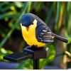 Solar Bird Garden Stake Light for Outdoor Décor – Resin
