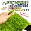 Active Island Reptile Flooring Mat Thermal Moisturizing Sheet Breeding Green