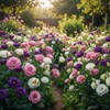 Lisianthus Seeds, Pack of 100 Mixed Color Eustoma Grandiflorum Seeds,
