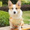 Paipeper 犬 服 中型犬 大型犬 犬の服 夏服 ドッグウェア Tシャツ クールウェア