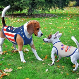 LyssKMK 4-Pack Patriotic Dog Tank Tops 4th of July Sleeveless Shirts USA Independence Day Themed Patterns Costume for Small Medium-Sized Dogs