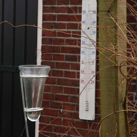 Esschert Design Rain Gauge Glass with Zinc Garden Stake