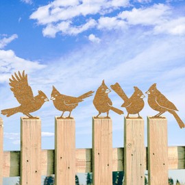 PKPKAUT 5Pcs Metal Birds Cardinal Craft Statue Ornaments Fence Topper Decor, Rusty Birds Metal Art for Fence Decorations Outdoor, Metal Bird Silhouette with Rusty Yard Art