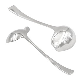 Ieron Stainless Steel Sauce Spoon Duckbill Spoon Soup Spoon Sauce Spoon With Pour Spout For Home Kitchen Hotel Sauce Gravy Seasoning Appetizer Dessert Spoon (Length 18cm)