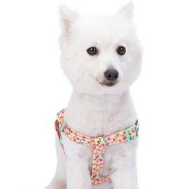 Blueberry Pet 9 Patterns Step-in Spring Scent Inspired Rose and Butterfly Print Pastel Pink Dog Harness, Chest Girth 20" - 26", Medium, Adjustable Harnesses for Dogs