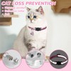 Cat Harness and Lead Set,Adjustable Reflective Stripe Cat Kitten Walking