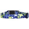 petexio (Petio) CC Star Color Blue Medium