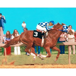 SPORTSPHOTOSUSA Secretariat 1973 Preakness Stakes Triple Crown Champion Horse Racing 8x10 Photo, 331603565924