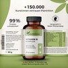 plantrition Vitamin B Complex High Dose Vegan - All Eight