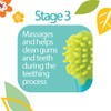 Oral Care Set, 4-Stage System, 0 m+, 4 Piece Set,
