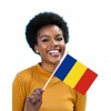 25 Packs Small Romania Flags on Handheld Stick，Miniature Romanian Flag